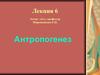 Антропогенез (лекция 6)