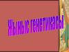 Жыныс генетикасы