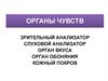 Органы чувств. Зрительный и слуховой анализаторы. Органы вкуса, обоняния. Кожный покров