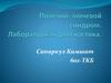 Почечно-мочевой синдром. Лабораторная диагностика