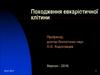 Походження евкаріотичної клітини