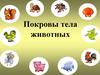 Покровы тела животных