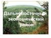 Дальневосточный экономический район