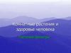 Комнатные растения и здоровье человека. Растения-фильтры