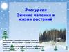 Зимние явления в жизни растений (урок в 6 классе)
