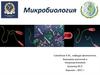 Введение в микробиологию. Терминология и общая характеристика прокариот