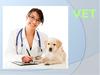 A veterinarian