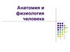 Анатомия и физиология человека