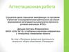 Аттестационная работа. Программа внеурочной деятельности начального общего образования «Почемучки»