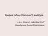 Теория общественного выбора. Общественный выбор, предмет и метод анализа