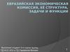 Евразийская экономическая комиссия, её структура, задачи и функции