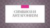 Симбиоз и антагонизм