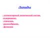 Липиды. Элементарный химический состав, содержание, строение, разнообразие, функции