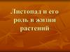 Листопад и его роль в жизни растений