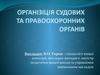 Організіція судових та правоохоронних органів