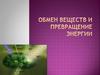 Обмен веществ и превращение энергии