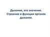 Дыхание, его значение. Строение и функции органов дыхания
