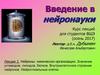 Нейроны: химическая организация. Значение углеводов, липидов, белков. Внутриклеточное строение нейронов. Нейроглиальные клетки