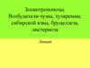 Зооантропонозы. Возбудители чумы, туляремии, сибирской язвы, бруцеллеза, листериоза