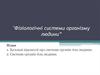 Фізіологічні системи організму людини