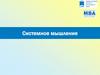 Системное мышление