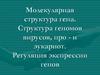 Молекулярная структура гена. Структура геномов вирусов, про - и эукариот. Регуляция экспрессии генов
