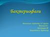Бактериофаги. Строение бактериофагов