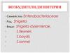 Возбудители дизентерии