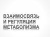 Взаимосвязь и регуляция метаболизма