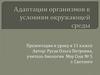 Адаптация организмов к условиям окружающей среды