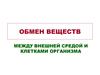 Обмен веществ между внешней средой и клетками организма. Баланс веществ