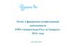 Отчет о финансово-хозяйственной деятельности ТОО «Амангельды Газ»