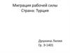 Миграция рабочей силы. Страна: Турция