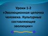Эволюционная цепочка человека. Культурные составляющие эволюции