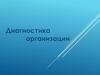 Диагностика организации