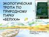 Экологическая тропа по природному парку «Белуха»
