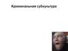 Криминальная субкультура