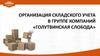 Организация складского учета в группе компаний «Голутвинская Слобода»