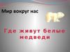 Мир вокруг нас. Где живут белые медведи