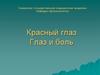 Красный глаз. Воспалительные заболевание глаза и его придаточного аппарата