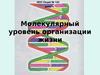Молекулярный уровень организации жизни