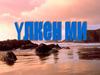 Үлкен ми. Жалпы түсінік