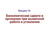 Биохимические сдвиги в организме при мышечной работе и утомлении. Лекция 14