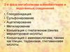 Вторая фаза метаболизма ксенобиотиков и эндогенных соединений
