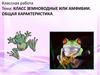 Класс земноводные или амфибии. Общая характеристика
