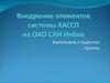 Внедрение элементов системы ХАССП на ОАО САН ИнБев