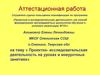 Аттестационная работа.  Проектно-исследовательская деятельность на уроках и внеурочных занятиях