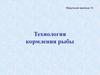 Технология кормления рыбы