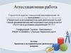 Аттестационная работа. Проектная и исследовательская деятельность учащихся