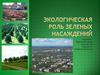 Экологическая роль зеленых насаждений